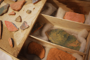 Mues - de Cathy Bonfond