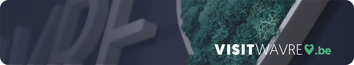 vue de Wavre