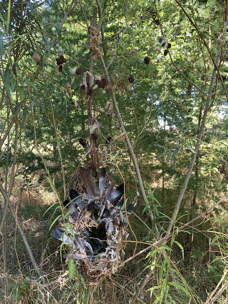 Nid -Nest sculpture en matière végétale de l'artiste Cathy Bonfond-sculpture éphémère-Eco land art